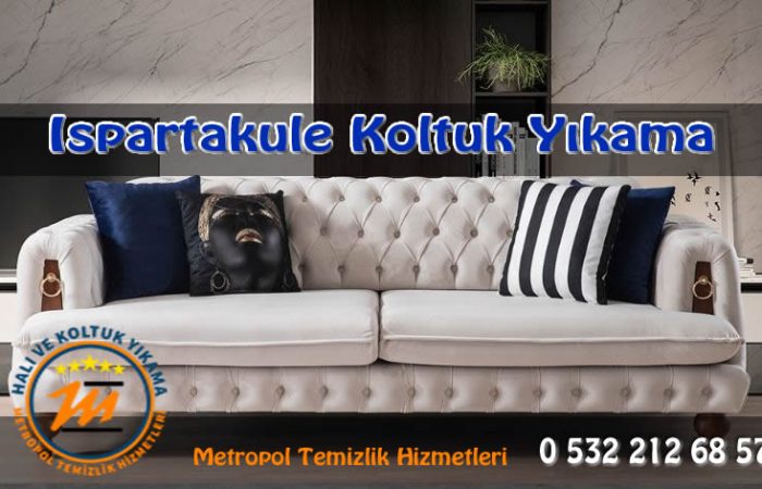 Ispartakule-koltuk-yikama