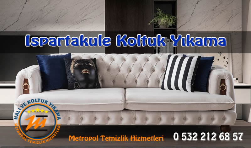 Ispartakule-koltuk-yikama - Metropol Halı Yıkama Ispartakule-koltuk-yikama